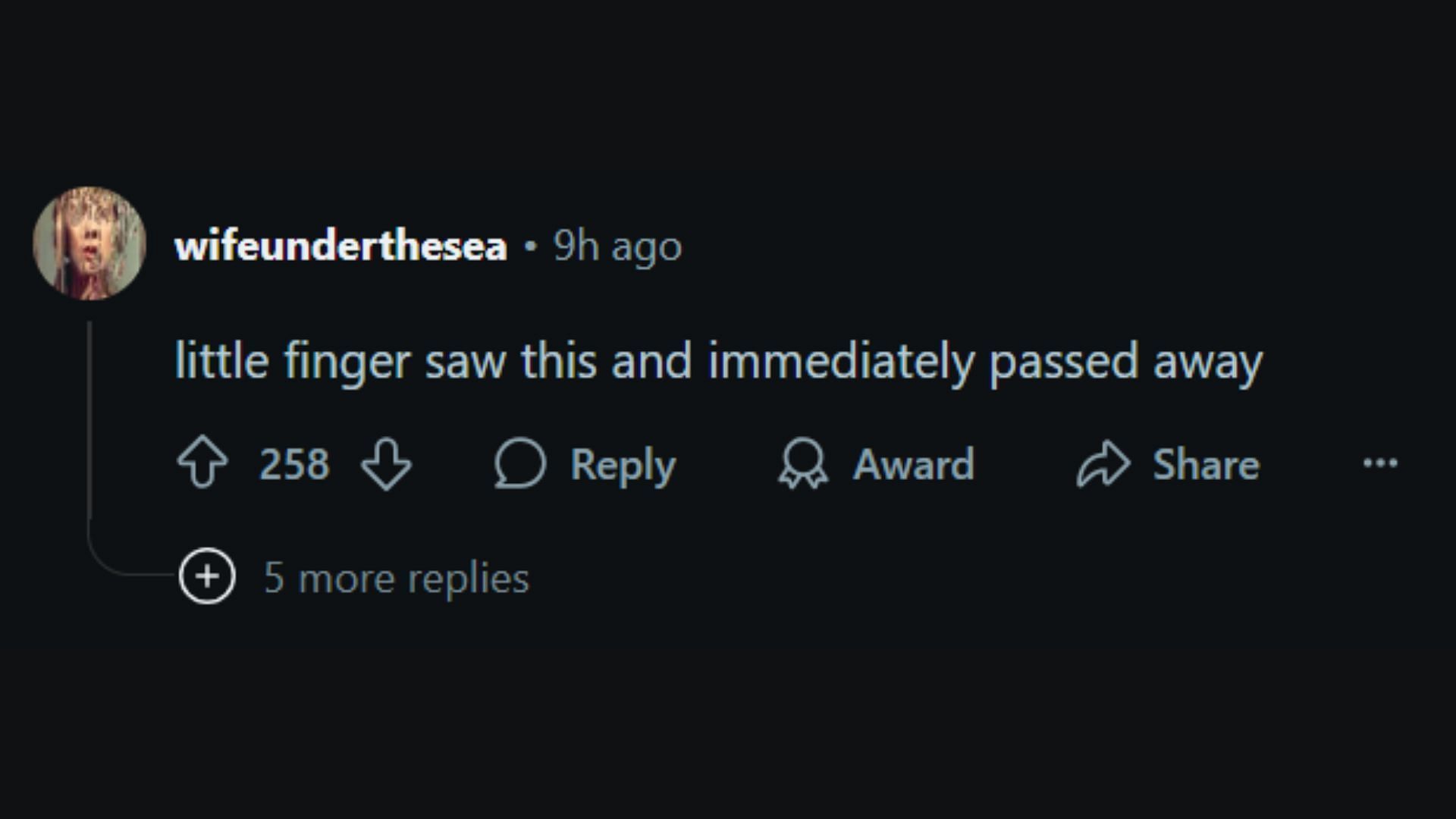 A netizen talks about Sophie Turner's Instagram post. (Image via Reddit/r/popculturechat)
